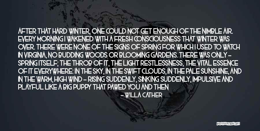 Gardens In Winter Quotes By Willa Cather