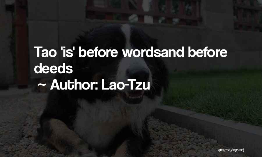 Garies Accommodation Quotes By Lao-Tzu