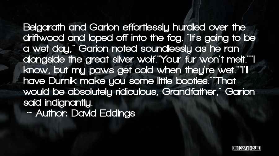 Garion Quotes By David Eddings