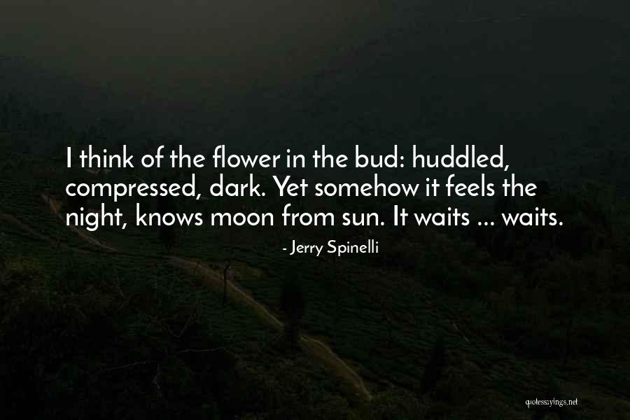 Garners Funeral Home Quotes By Jerry Spinelli Garners Funeral Home Quotes By Jerry Spinelli