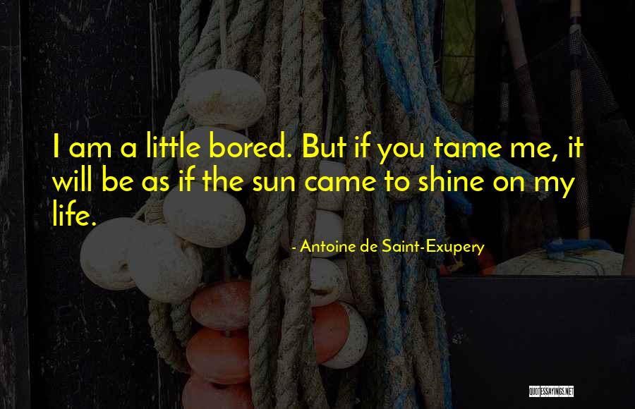 Garnick Entertainment Quotes By Antoine De Saint-Exupery Garnick Entertainment Quotes By Antoine De Saint-Exupery