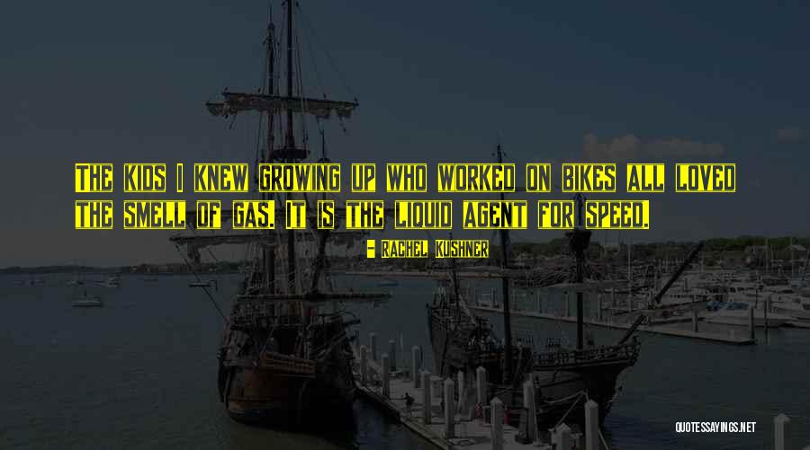 Garnishee Quotes By Rachel Kushner Garnishee Quotes By Rachel Kushner