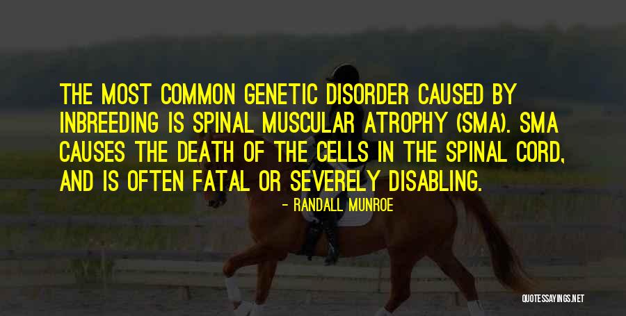 Garnishee Quotes By Randall Munroe Garnishee Quotes By Randall Munroe