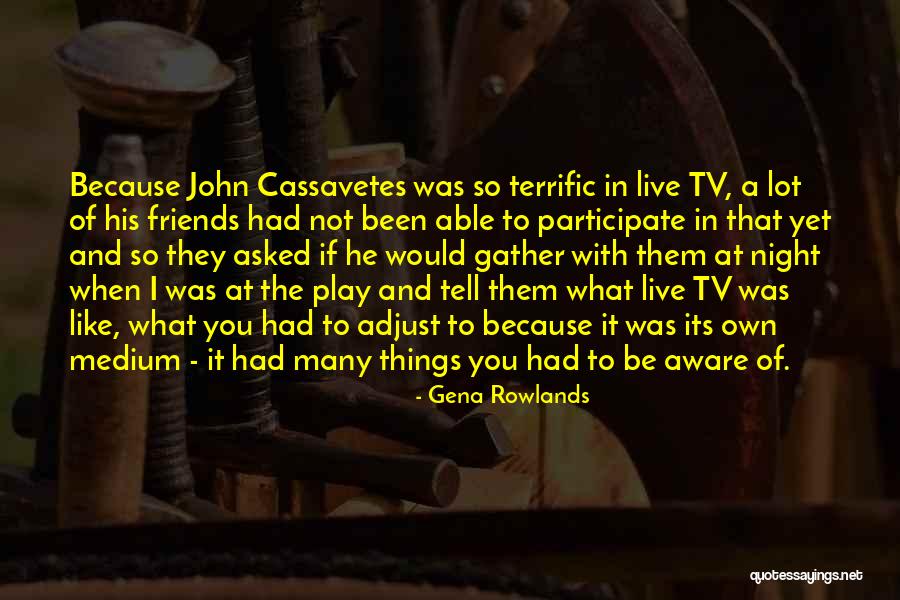 Garnot Gravel Quotes By Gena Rowlands Garnot Gravel Quotes By Gena Rowlands