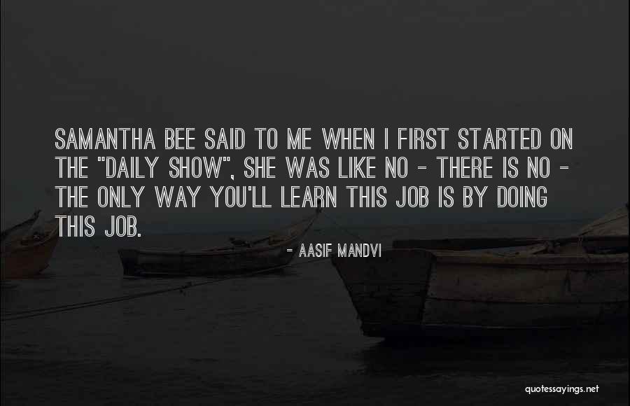 Garoafe Quotes By Aasif Mandvi Garoafe Quotes By Aasif Mandvi