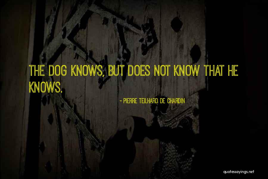 Garrell Associates Quotes By Pierre Teilhard De Chardin Garrell Associates Quotes By Pierre Teilhard De Chardin