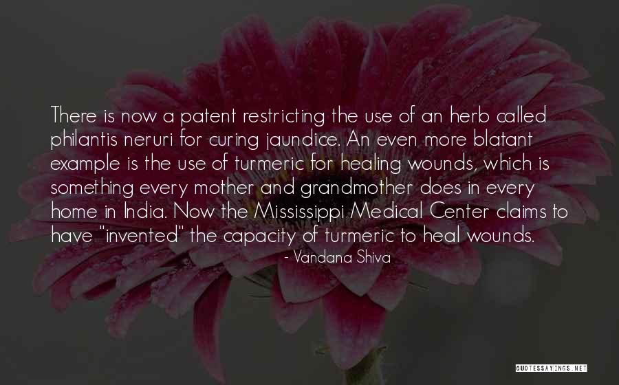 Garretson Resolution Group Quotes By Vandana Shiva Garretson Resolution Group Quotes By Vandana Shiva