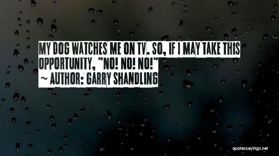 Garry Shandling Quotes 1520474