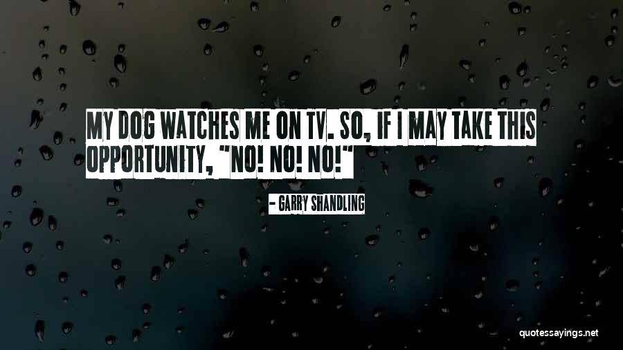 Garry Shandling Quotes 1520474 Garry Shandling Quotes 1520474