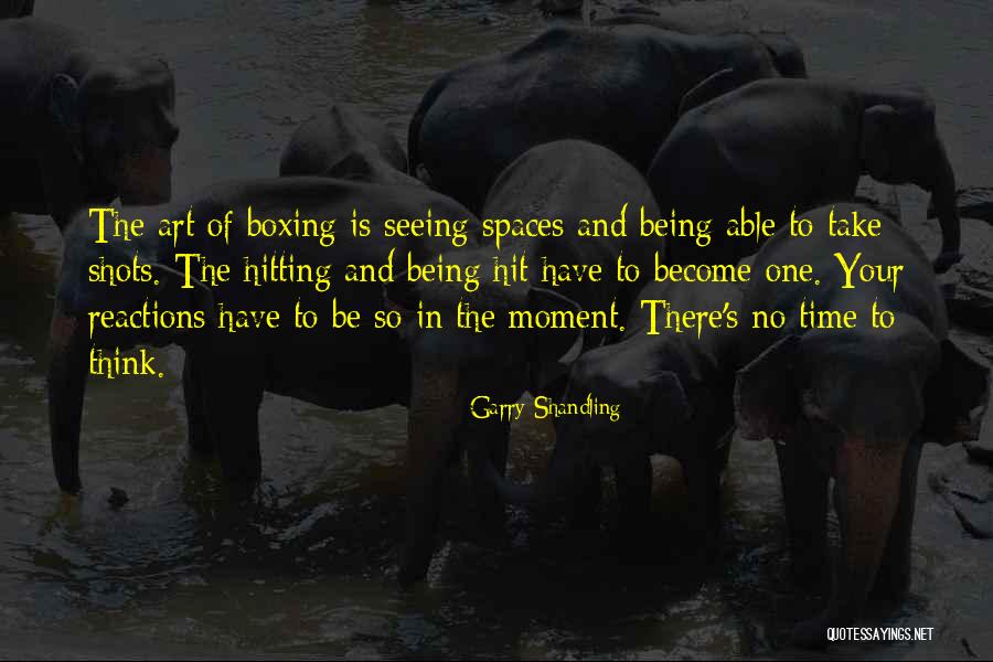 Garry Shandling Quotes 2095651 Garry Shandling Quotes 2095651