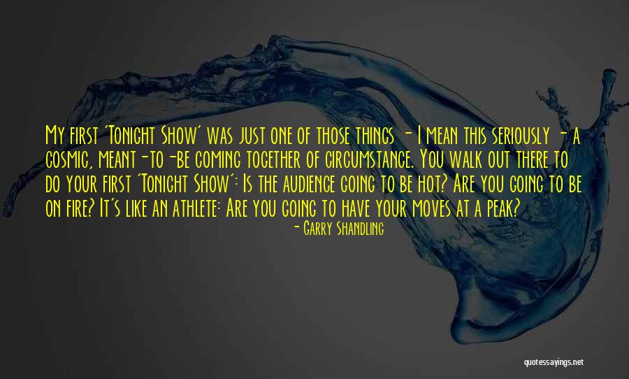 Garry Shandling Quotes 219499 Garry Shandling Quotes 219499