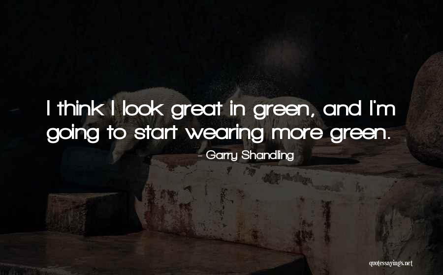 Garry Shandling Quotes 406650 Garry Shandling Quotes 406650