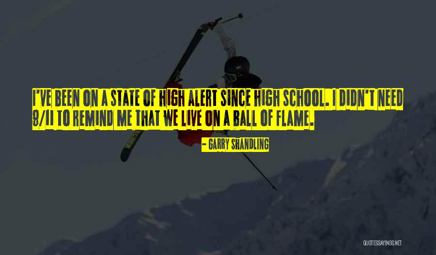 Garry Shandling Quotes 959685 Garry Shandling Quotes 959685