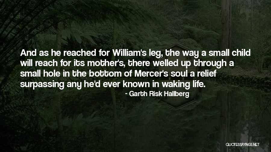 Garth Risk Hallberg Quotes 78614