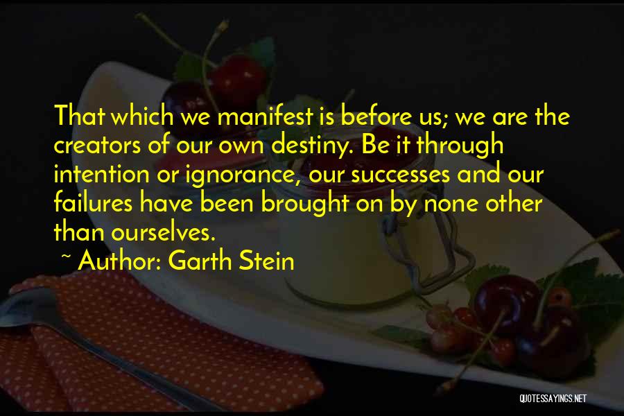 Garth Stein Quotes 1051671