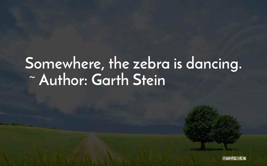 Garth Stein Quotes 1108872