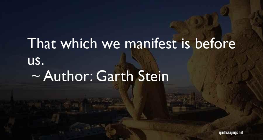 Garth Stein Quotes 1141580