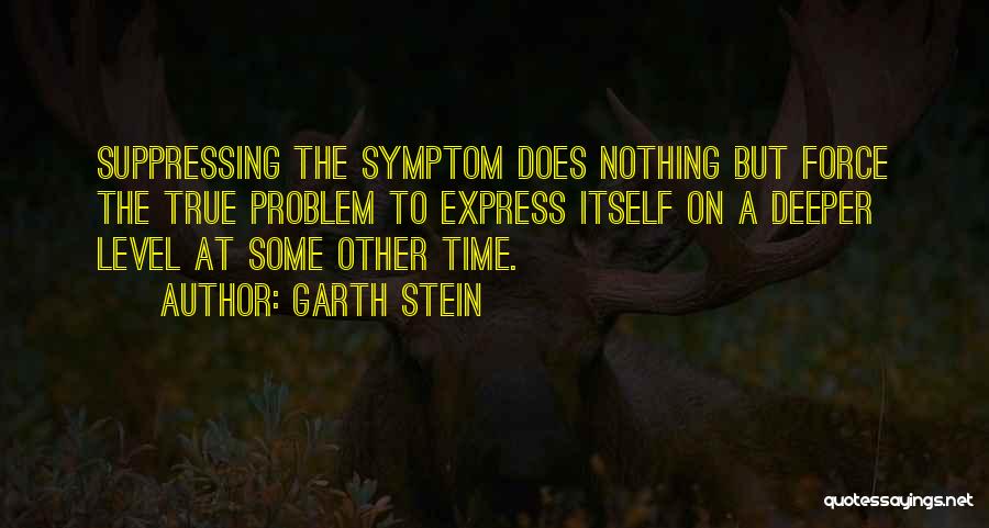 Garth Stein Quotes 114287