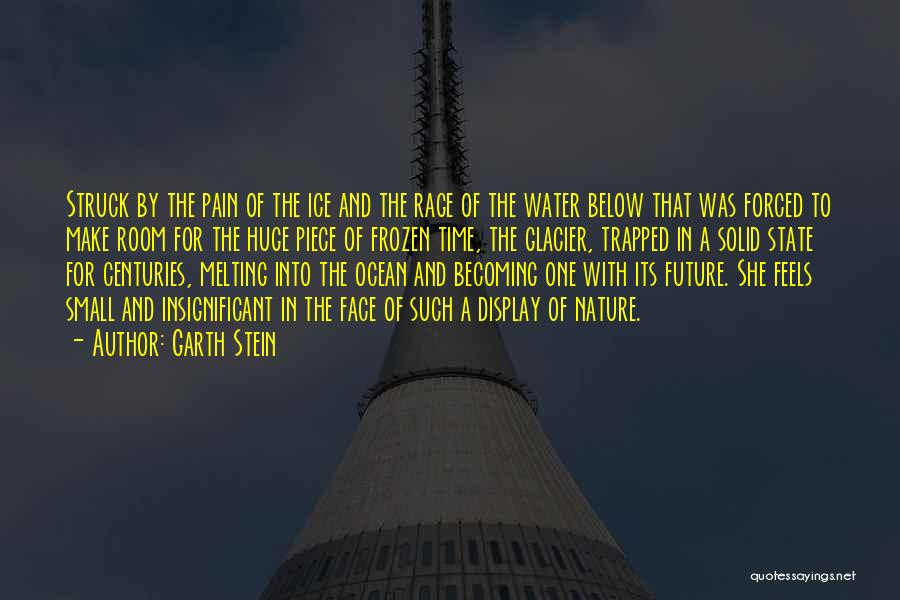 Garth Stein Quotes 1156635