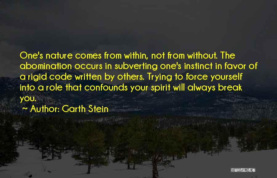 Garth Stein Quotes 1216923
