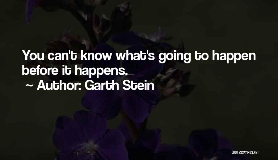 Garth Stein Quotes 1392792