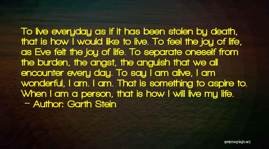 Garth Stein Quotes 1516287