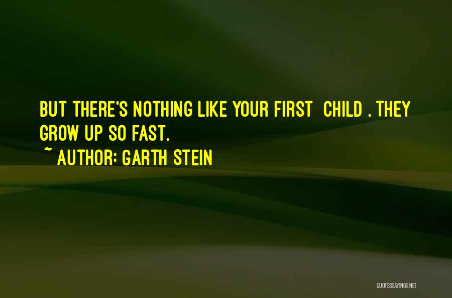 Garth Stein Quotes 1533729