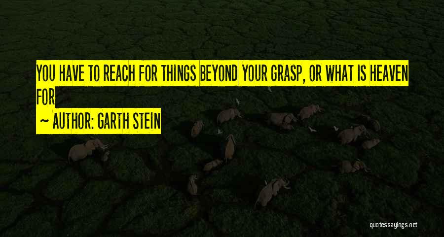 Garth Stein Quotes 1573811