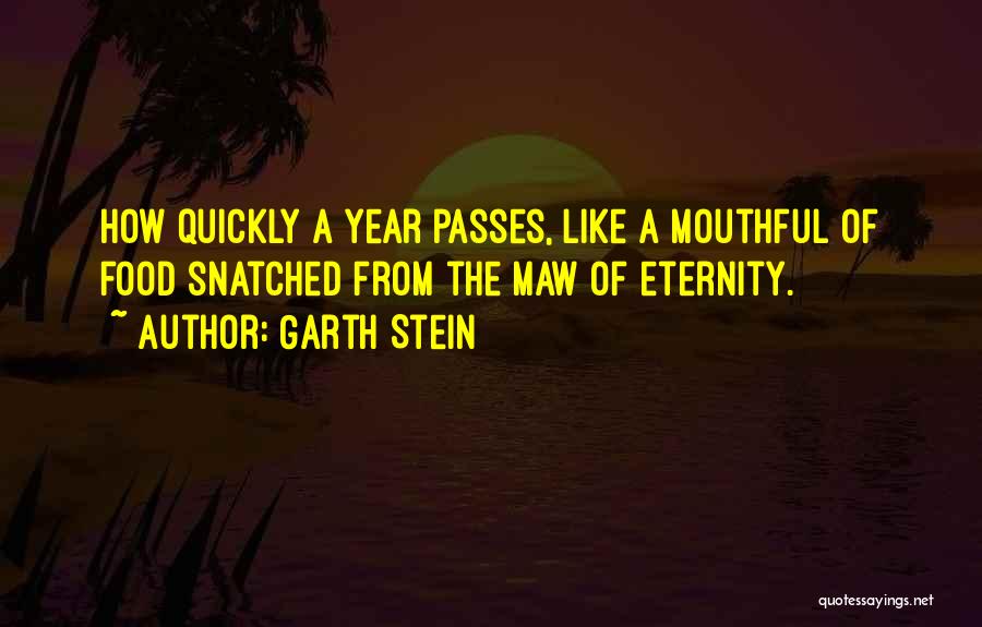 Garth Stein Quotes 1656155