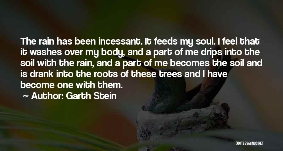 Garth Stein Quotes 1902882