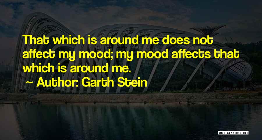 Garth Stein Quotes 2083645