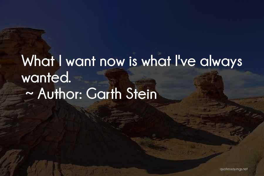 Garth Stein Quotes 2102016