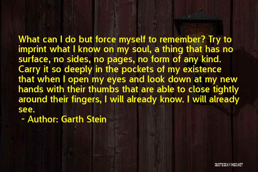 Garth Stein Quotes 2248189