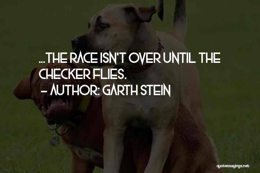 Garth Stein Quotes 355694