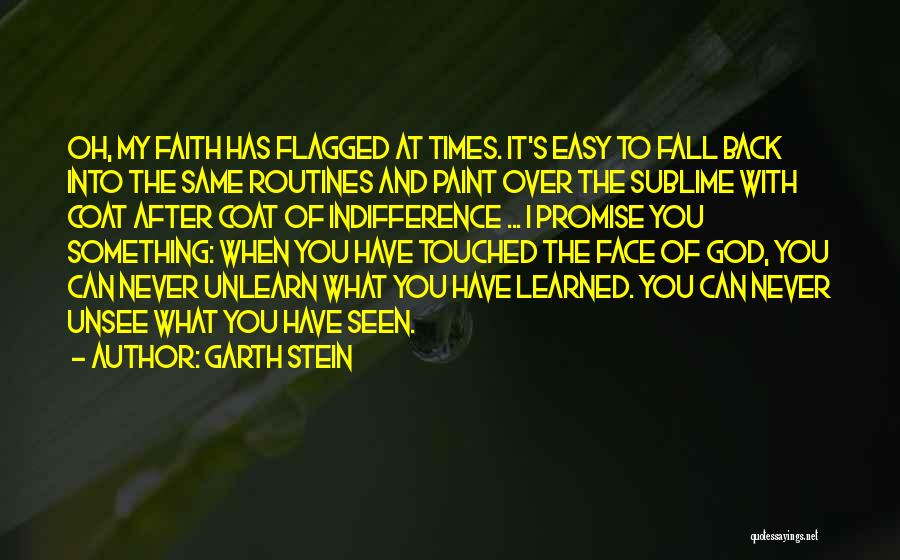 Garth Stein Quotes 631841