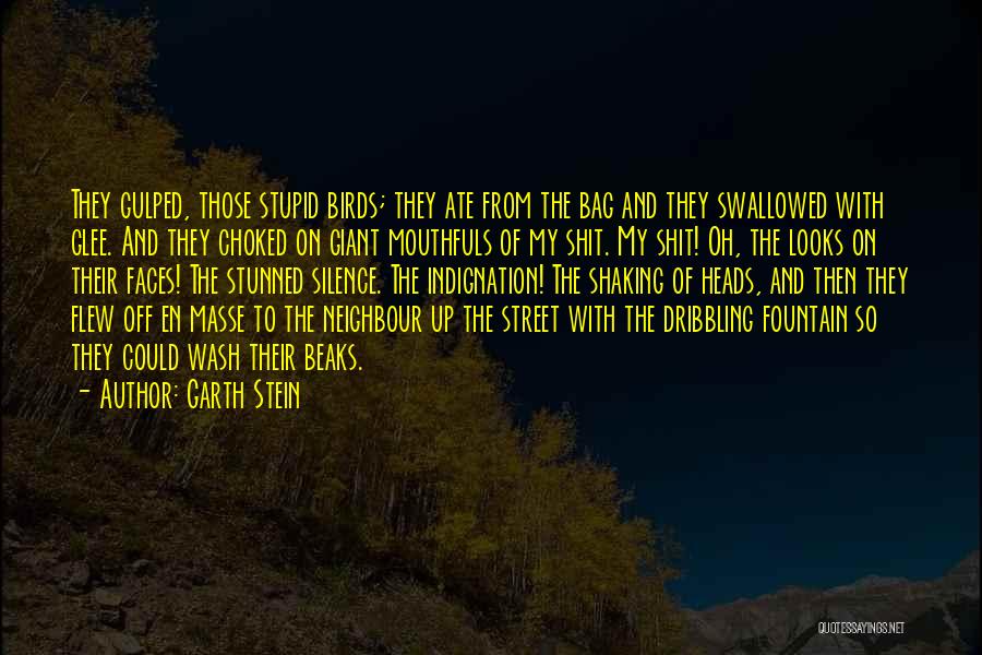 Garth Stein Quotes 93209