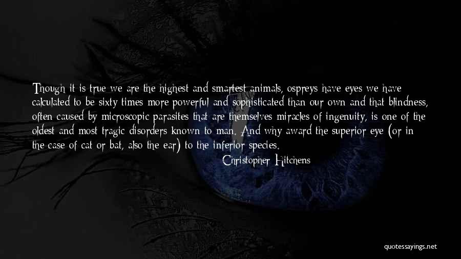 Garvit Pant Quotes By Christopher Hitchens Garvit Pant Quotes By Christopher Hitchens