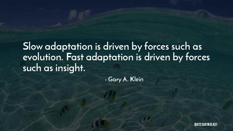 Gary A. Klein Quotes 120150