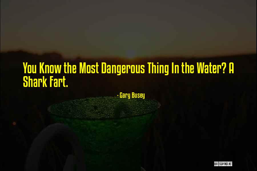 Gary Busey Quotes 502653