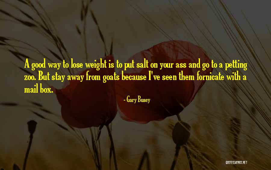 Gary Busey Quotes 972185 Gary Busey Quotes 972185