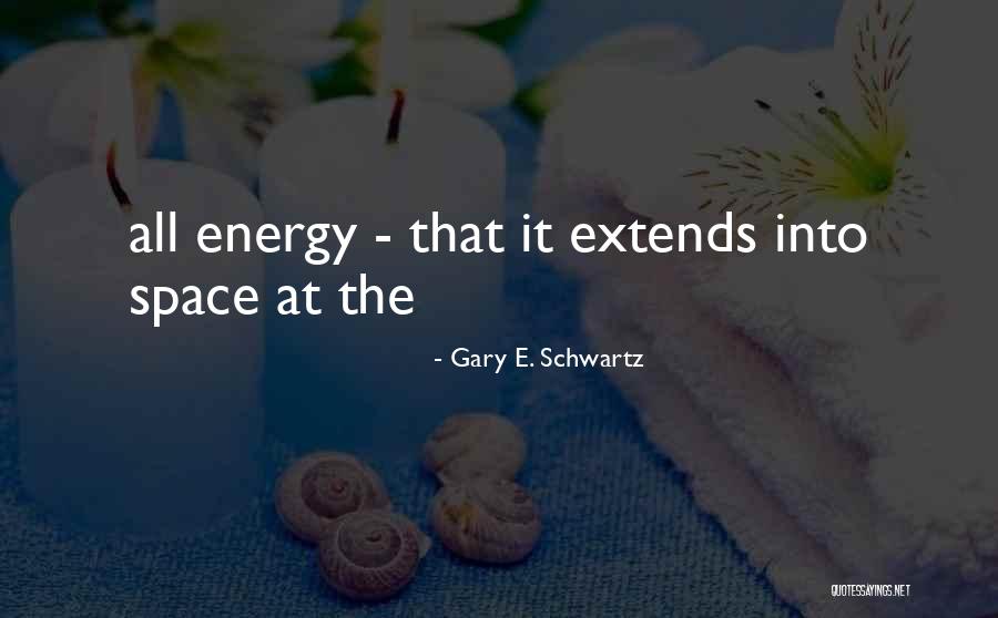 Gary E. Schwartz Quotes 526208