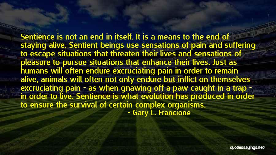 Gary L. Francione Quotes 195641