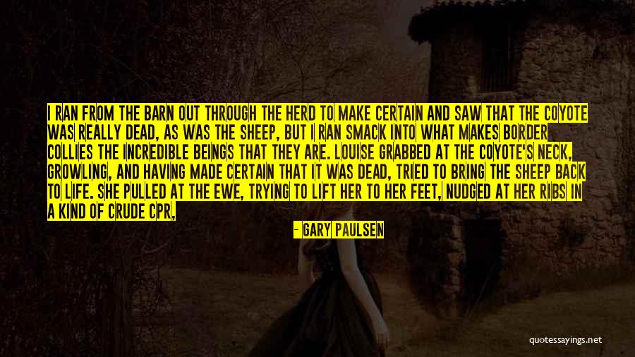 Gary Paulsen Quotes 1504610 Gary Paulsen Quotes 1504610