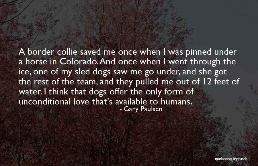 Gary Paulsen Quotes 303639 Gary Paulsen Quotes 303639