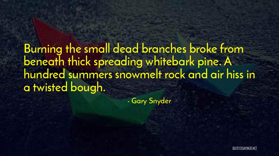 Gary Snyder Quotes 1605091 Gary Snyder Quotes 1605091