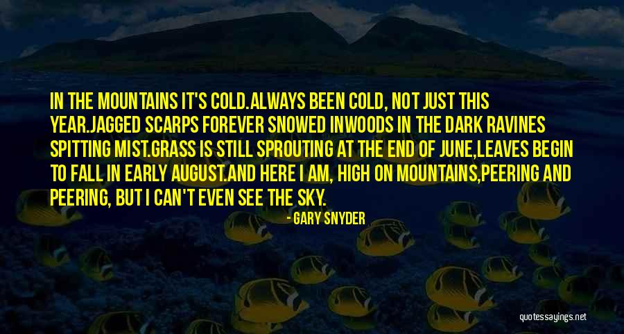 Gary Snyder Quotes 1996311 Gary Snyder Quotes 1996311