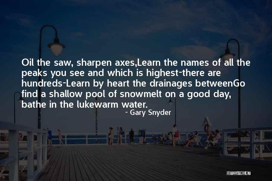 Gary Snyder Quotes 243492 Gary Snyder Quotes 243492