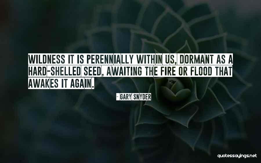 Gary Snyder Quotes 595516 Gary Snyder Quotes 595516