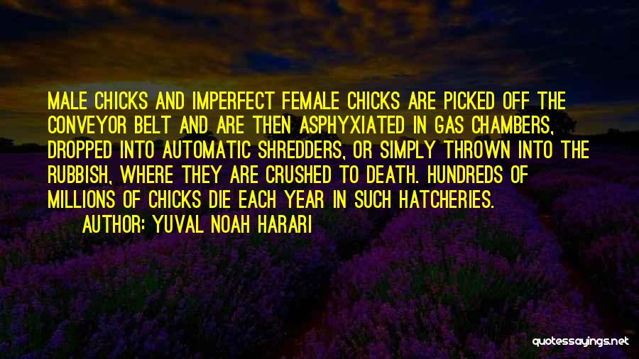 Gas Chambers Quotes By Yuval Noah Harari