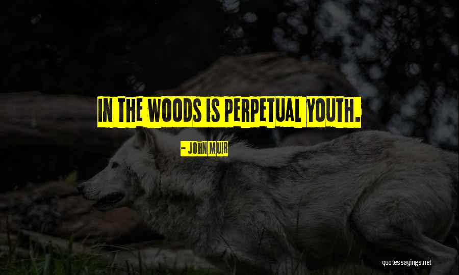 Gas Guzzlers Quotes By John Muir Gas Guzzlers Quotes By John Muir
